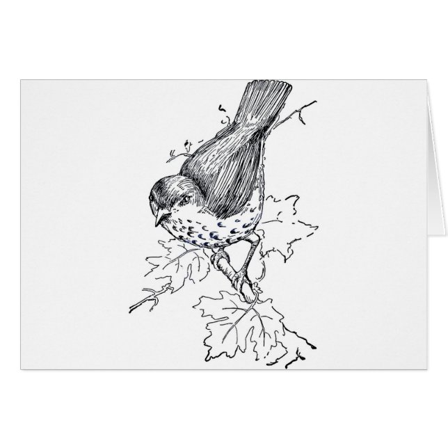 Vintage Thrush Black and White (Front Horizontal)
