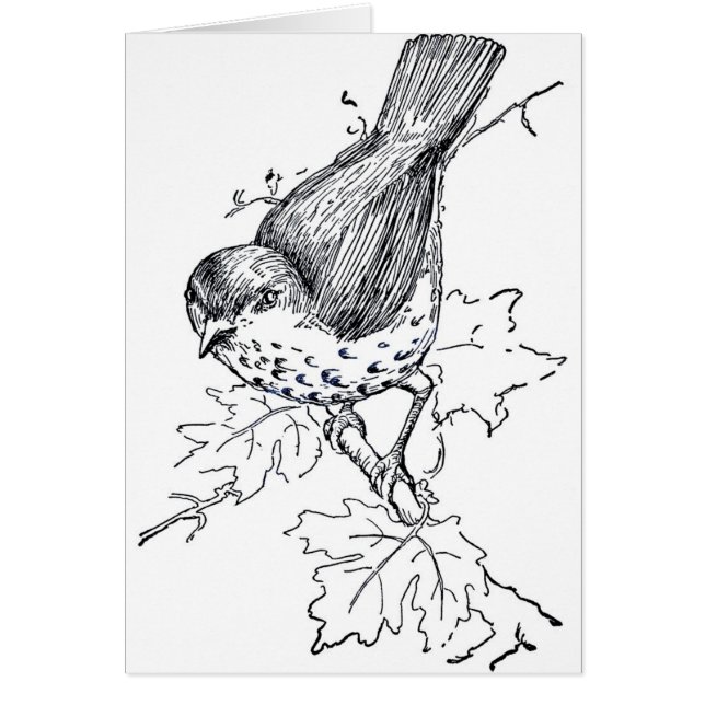 Vintage Thrush Black and White (Front)