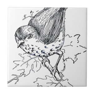 Vintage Thrush Black and White Tile