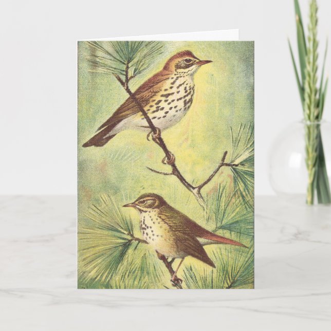 Vintage Thrushes Greeting Card (Front)
