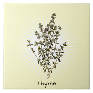 Vintage Thyme Herb Botanical Art Ceramic Tile