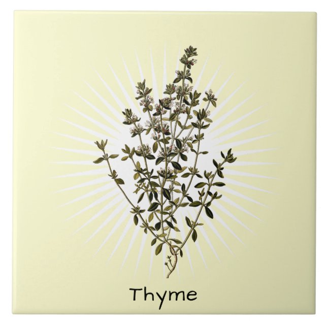 Vintage Thyme Herb Botanical Art Ceramic Tile (Front)