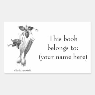 Vintage tiger flower etching bookplate sticker