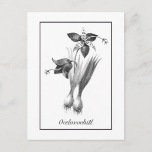 Vintage tiger flower etching card