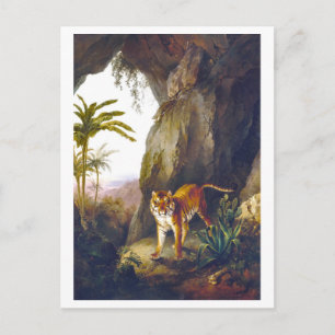 Vintage Tiger in Cave Illustration Postcard