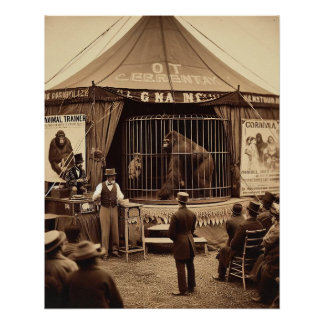 Vintage Tintype photo of a circus gorilla (1920s) Poster