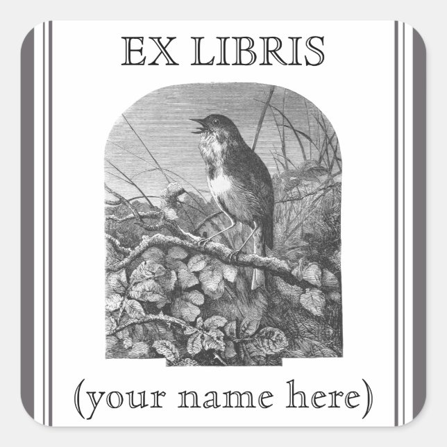 Vintage tiny bird etching bookplate square sticker (Front)