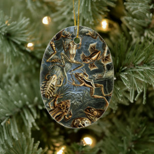 Vintage Toads and Frogs Batrachia by Ernst Haeckel Ceramic Ornament