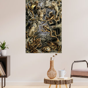 Vintage Toads and Frogs by Ernst Haeckel Poster
