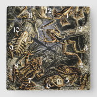 Vintage Toads and Frogs by Ernst Haeckel