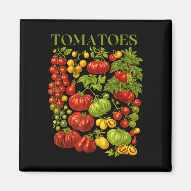 Vintage tomato graphic retro summer vegetable magnet (Front)