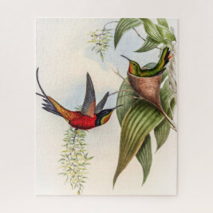 Vintage Topaza Pyra Hummingbirds by John Gould Jigsaw Puzzle