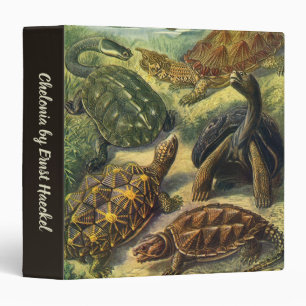 Vintage Tortoises and Sea Turtles by Ernst Haeckel Binder