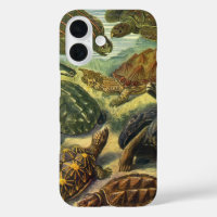Vintage Tortoises and Sea Turtles by Ernst Haeckel