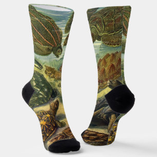 Vintage Tortoises and Sea Turtles by Ernst Haeckel Socks
