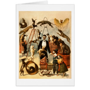 Vintage Trained Circus Dog Act Trick Dogs1899