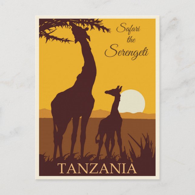 Vintage Travel Africa Tanzania Safari Postcard (Front)