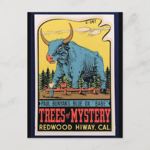 Vintage travel - California Trees of Mystery Postcard