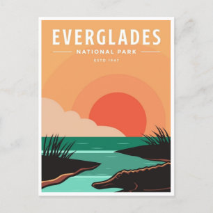 Vintage travel Everglades National Park Florida Postcard