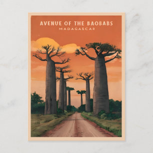Vintage Travel Madagascar Baobab Trees Landscape Postcard
