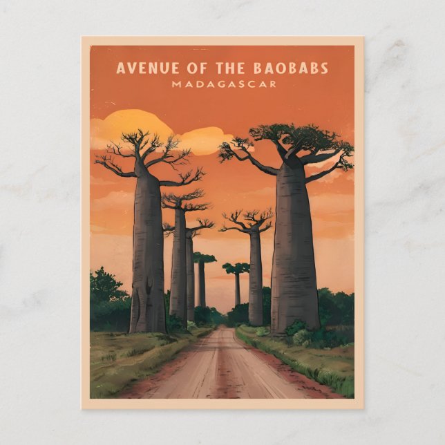 Vintage Travel Madagascar Baobab Trees Landscape  Postcard (Front)