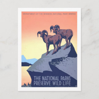 Vintage Travel Poster,America Postcard