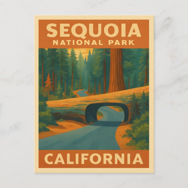 Vintage Travel Sequoia National Park California Postcard (Front)