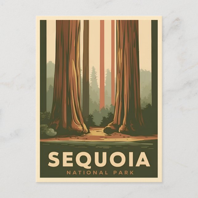Vintage Travel Sequoia National Park California Postcard (Front)