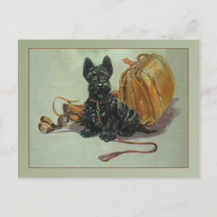 Vintage Travelling Scottie Dog Postcard