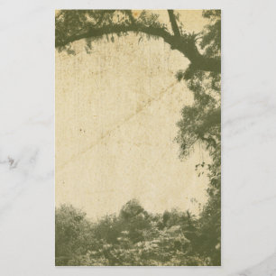 Vintage Tree Background Stationery
