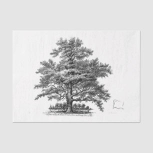 Vintage Tree Ephemera Decoupage Tissue Paper