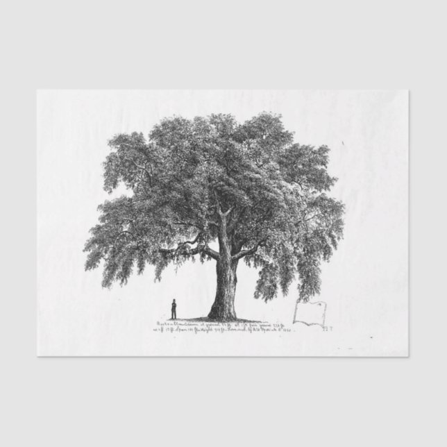 Vintage Tree Ephemera Decoupage Tissue Paper (Front)