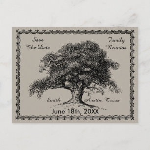 Vintage Tree Outdoor Rustic Family Reunion Announcement Postcard