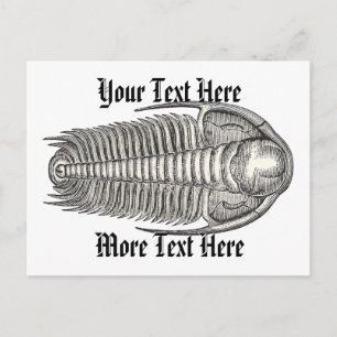 Vintage Trilobite Postcard