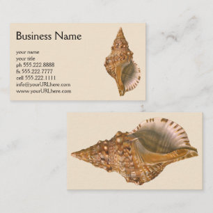 Vintage Triton Seashell Shell, Marine Ocean Animal Business Card