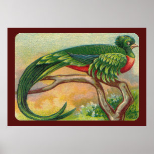 Vintage Tropical Bird Print