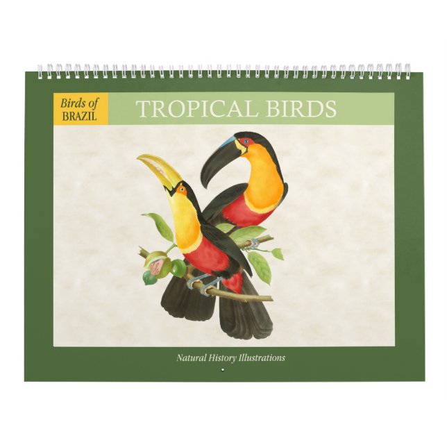 Vintage Tropical Birds Illustrations 2026 Calendar (Cover)