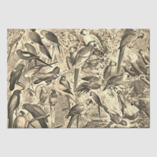 Vintage Tropical Birds Parrots Decoupage Beige Tissue Paper