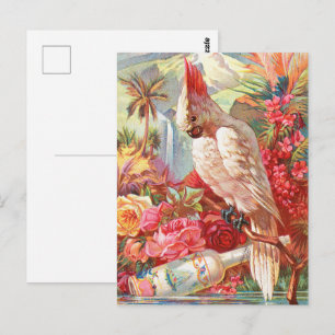 Vintage Tropical Cockatoo & Rose Botanical Art Postcard