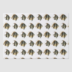 Vintage Tropical Fish Drawing Black Silver Gold Tissue Paper