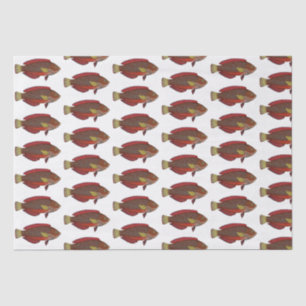 Vintage Tropical Fish Drawing Red Blue Gold Tissue Paper