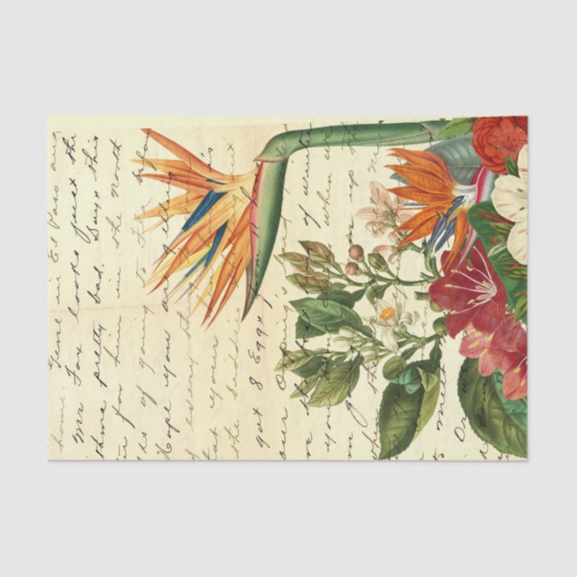 Vintage Tropical Flowers Tissue Paper (Front)