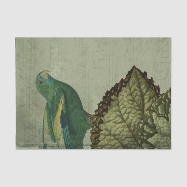 Vintage Tropical Green Parrot Tissue Paper (Front)