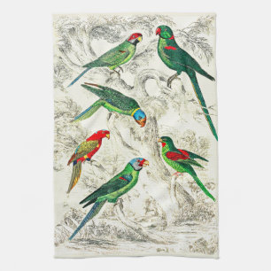 Vintage Tropical Green Parrots  Kitchen Towel