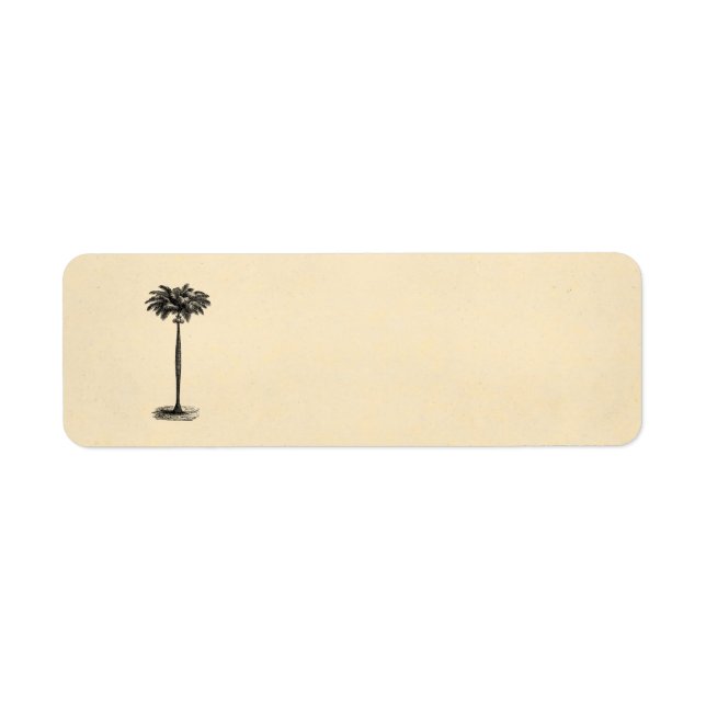 Vintage Tropical Island Palm Tree Template Blank (Front)