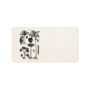 Vintage Tropical Island Palm Tree Template Blank Label