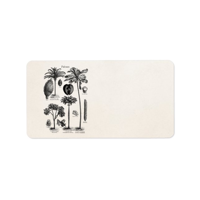 Vintage Tropical Island Palm Tree Template Blank Label (Front)