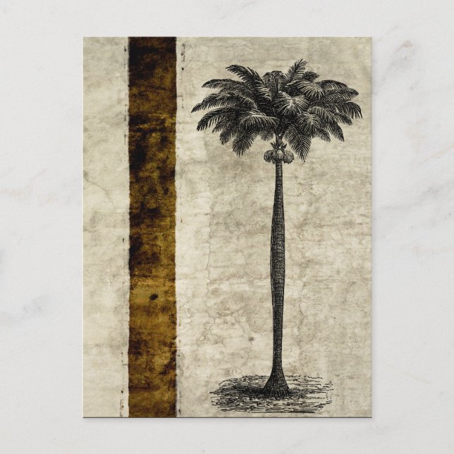 Vintage Tropical Island Palm Tree Template Blank Postcard (Front)