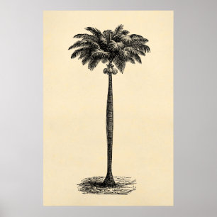 Vintage Tropical Island Palm Tree Template Blank Poster