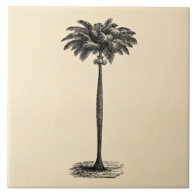 Vintage Tropical Island Palm Tree Template Blank Tile (Front)
